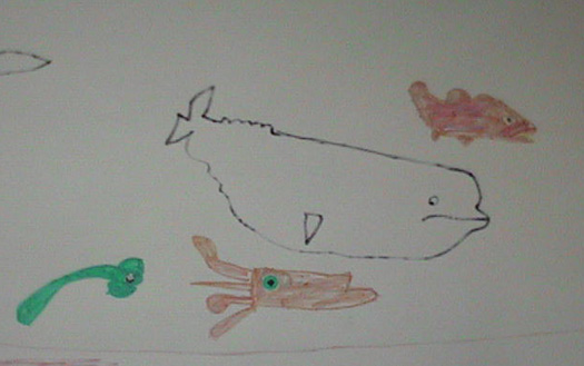 Poster of whale, squid and cod