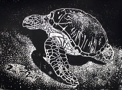 Sea Turtle: Jenny Qiu