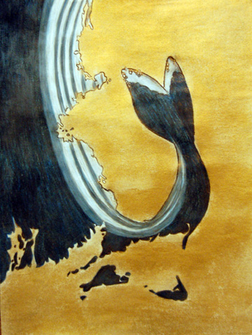 A Whale Tail