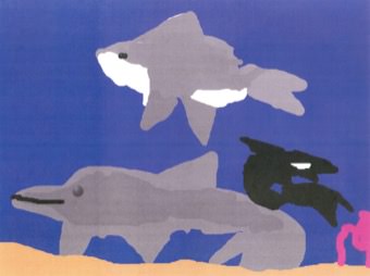 Spiny Dogfish, Orca & Dolphin