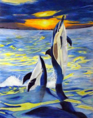 Atlantic White-sided Dolphins