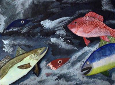 Bluefin Tuna, Acadian Redfish and Silver Hake