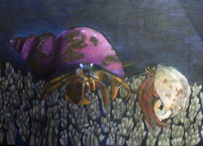Acadian Hermit Crabs