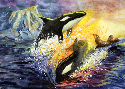 Orca Hunt