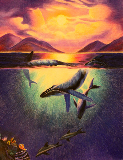 Humpbacks & Dolphins