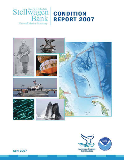 2006 condition report cover