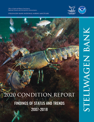 2020 condition report cover