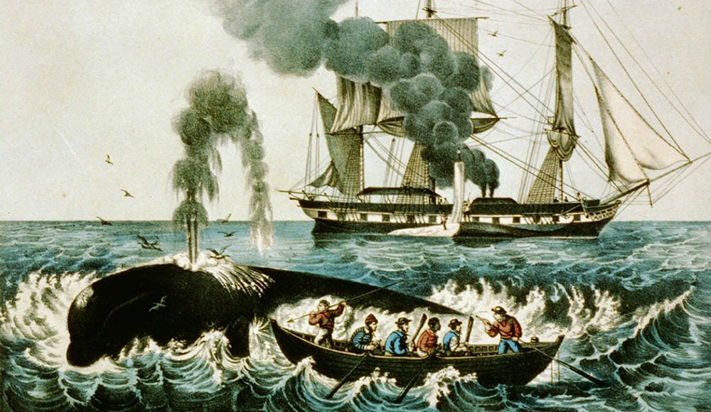painting of a whale being hunted