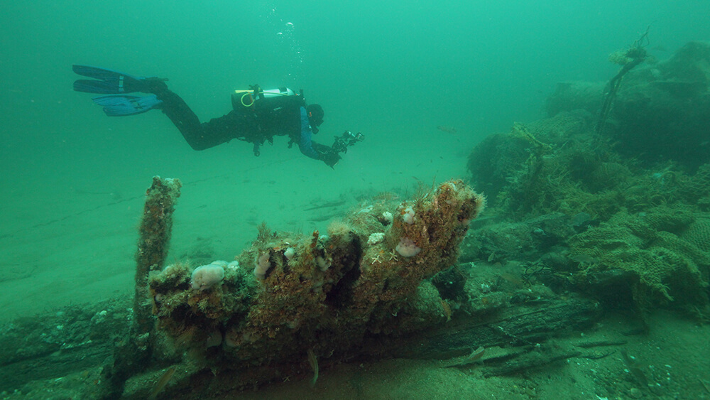 a diver swims over a pieces of wood from a shipwreck