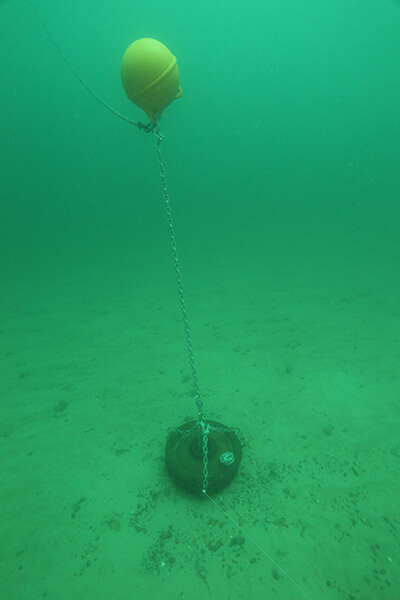 a chain attaches a buoy to a weight underwater