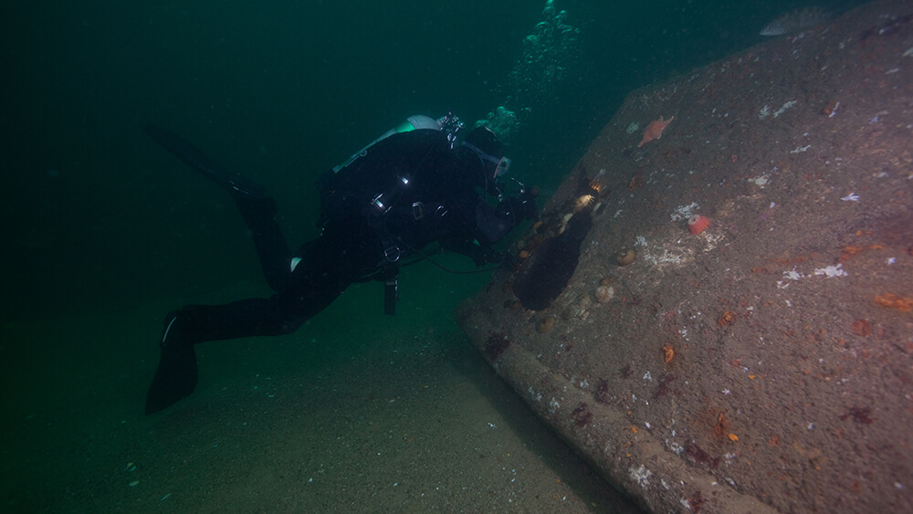 A diver inspects the hull of a shipwreck