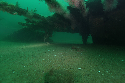A view of a shipwreck taken from the sand of the seafloor