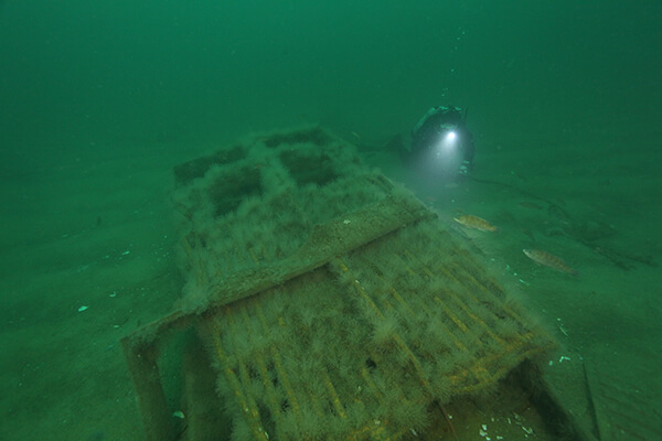 A diver shines a light on a shipwreck