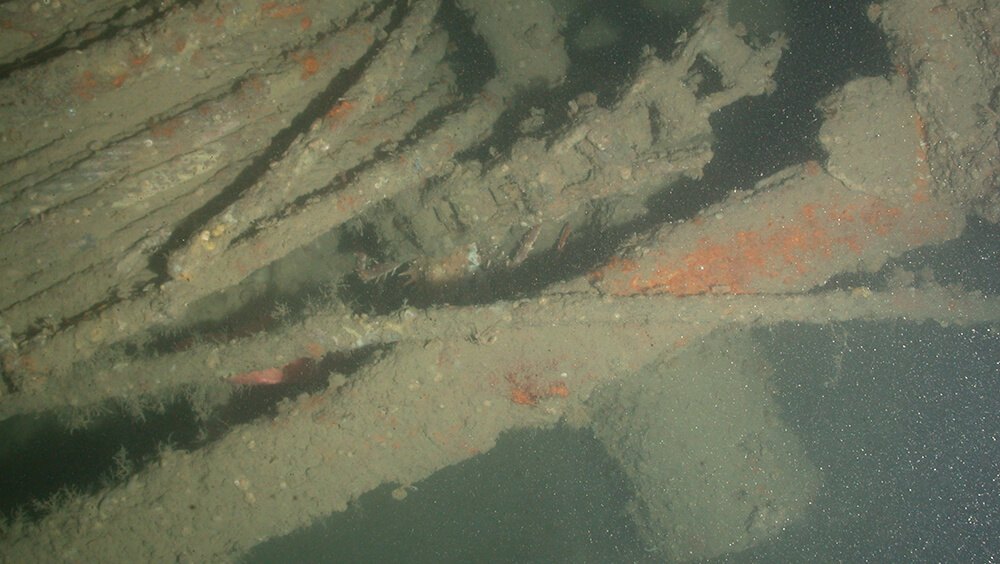 Pieces of a shipwreck