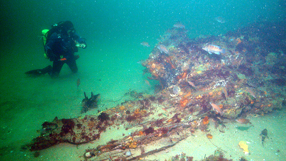A diver observes part of a shipwreck