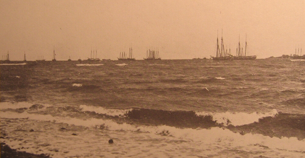 An old photo of a fleet of ships seen from the shore