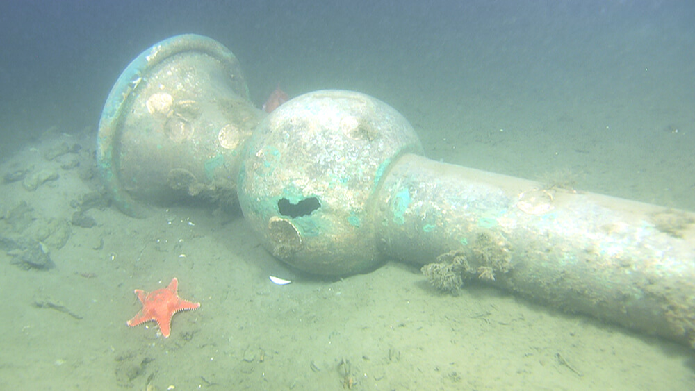 A a long pole like object with abulge towards the top rests on its side on the seafloor