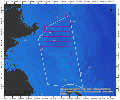 a map showing glider tracks through stellwagen bank national marine sanctuary