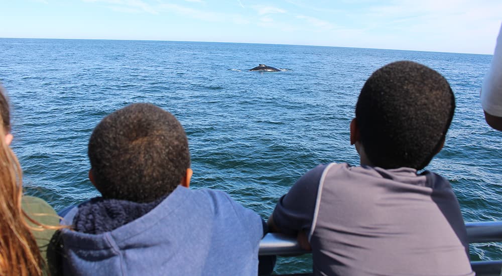 kids looking off the side of a ship at a whale in the water