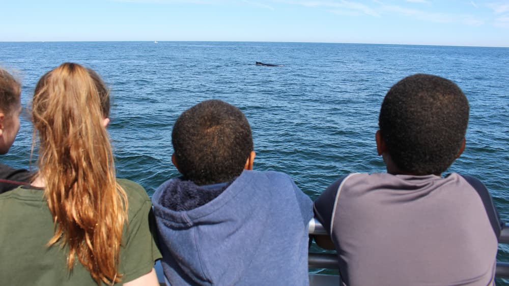 Kids watching a whale from afar