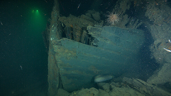 The broken bow of a shipwreck