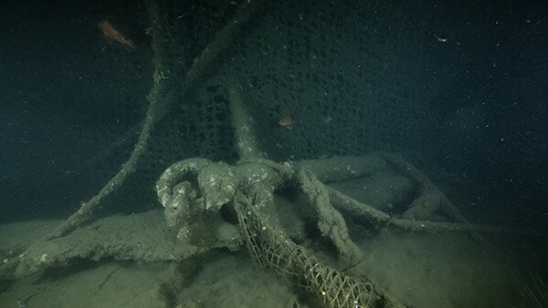 a fish swims near a shipwreck in deep water