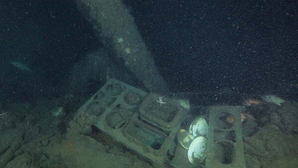 plates visible in the debris of a shipwreck