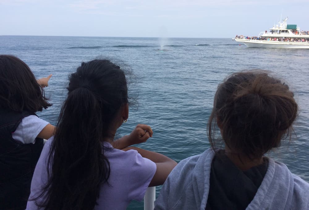 Kids on whale watch trip