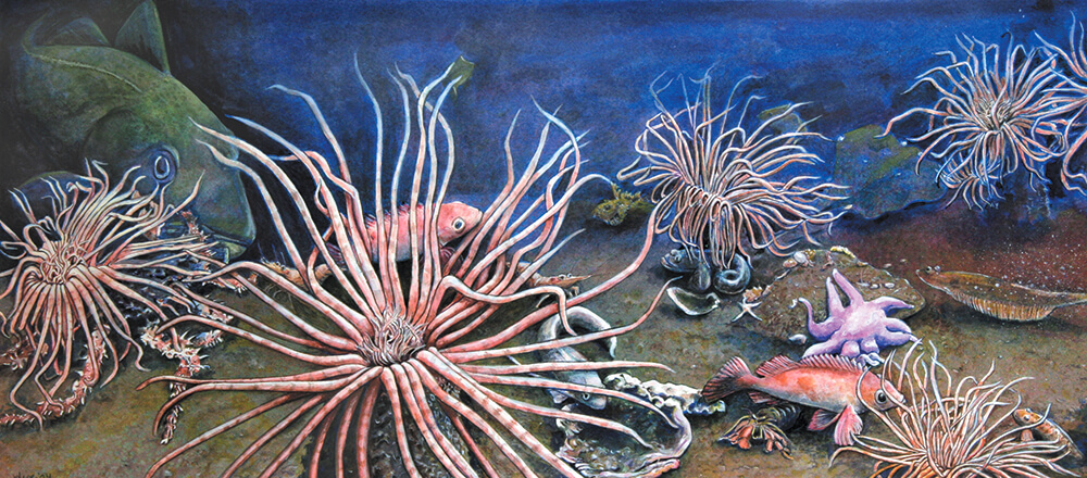 a painting of anomones with fish and other sea creatures