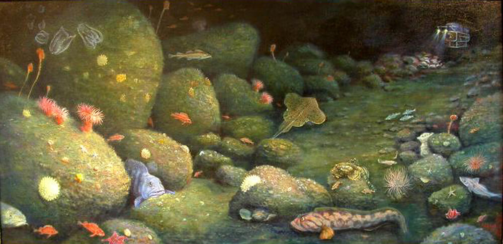 a painting of an rove exploring a reef