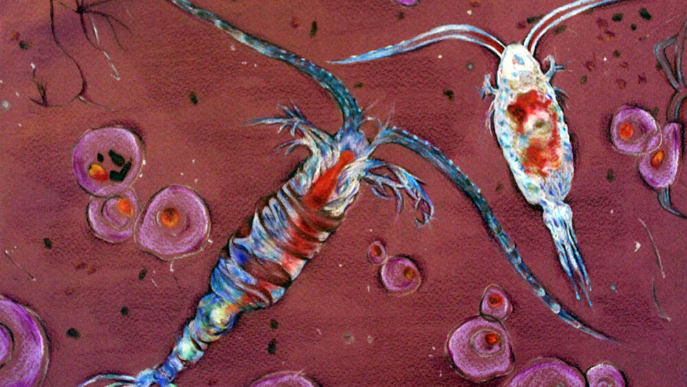 a painting of copepods