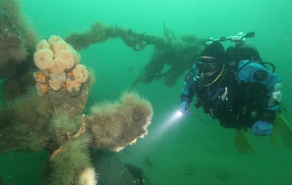 A diver putting a flashlight to a shipwreck