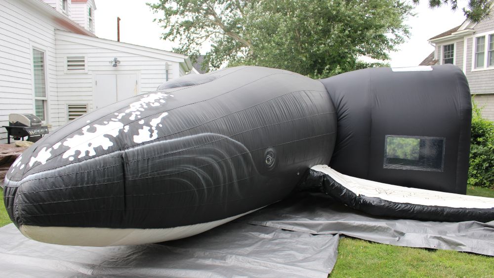 Salt the life-sized inflatable Humpback whale. Anne Smrcina/NOAA