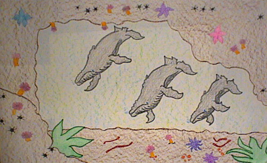 Honorable Mention whales