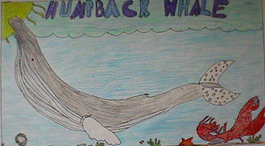 Poster of humpback and lobster