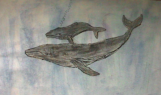 Poster of mother and calf humpbacks