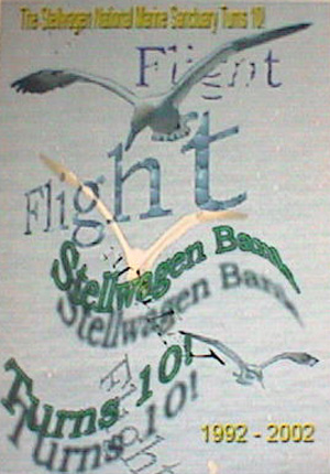 Poster of bird in flight