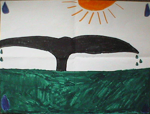 Poster of whale tail
